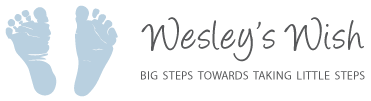 wesleyswish-rgb-t-grey-a